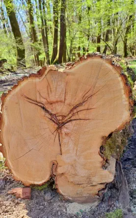 Spirituelles / geistiges Heilen