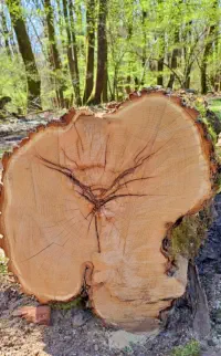 Spirituelles / geistiges Heilen